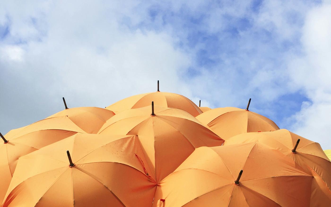 orange umbrella lot by Catrin Johnson courtesy of Unsplash.